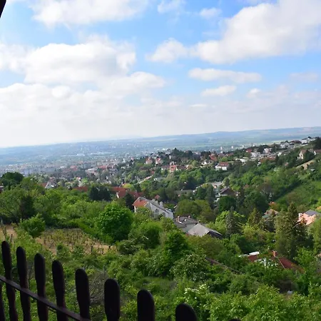 Panorama Kucko Apartment Pecs